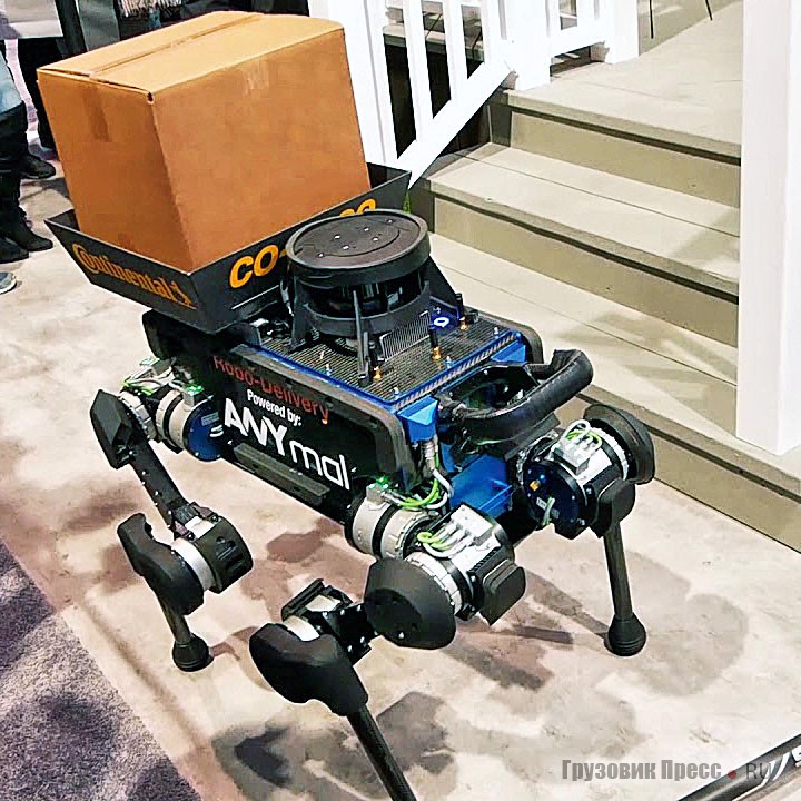 Прототип четвероногого робота ANYmal, созданный специалистами корпорации Continental и компании ANYbotics
