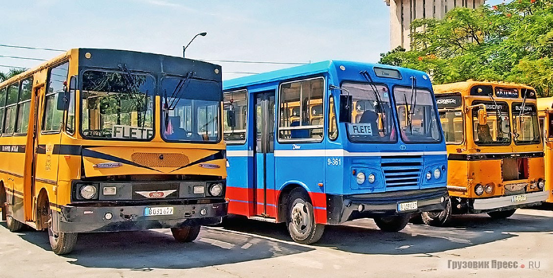 «Дочь» в компании «отцов» – Diana GD.01B (в центре), Gir<span>ó</span>n VI (слева) и Gir<span>ó</span>n V (справа). 2015 г. Эмблемы Hino на старых автобусах необязательно означают, что на них поставили японские двигатели, подобные украшения на Кубе в моде