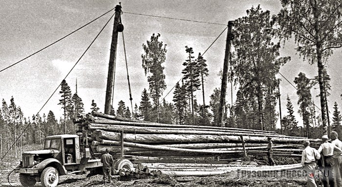 Лесовозный автопоезд во главе с ранним МАЗ-501 в реальной эксплуатации. Длина хлыстов могла достигать 35 м и более. 1958 г.