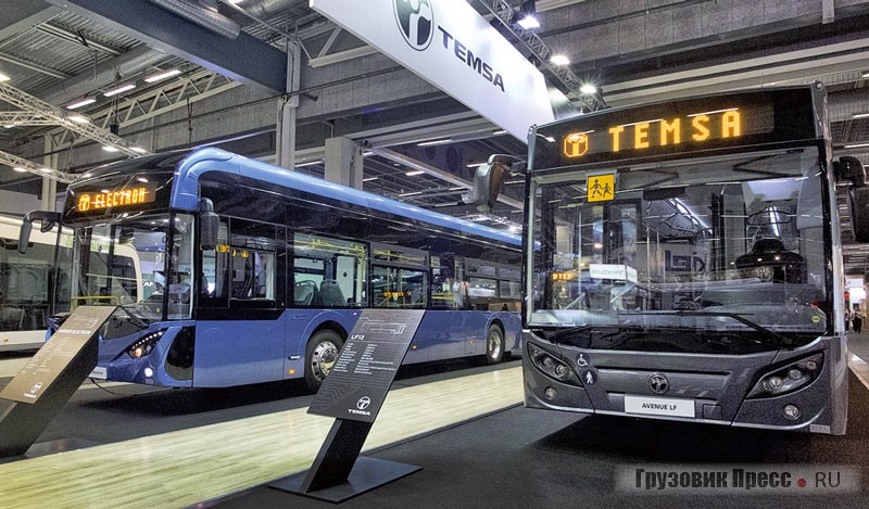 12-метровый электробус Temsa Avenue Electron Li–Ion и Temsa Avenue LF12 (NVSJ6L)