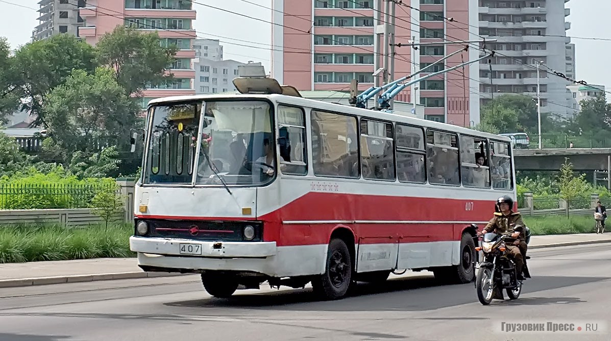 «Чёллима 951» построен на базе венгерского автобуса Ikarus 260. Во время катастрофической нехватки топлива в 1990–2000-х, многие автобусы было решено переделать в троллейбусы. В 2013 г. несколько таких троллейбусов ещё работало на линиях