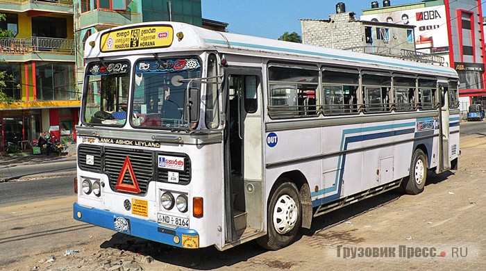 Популяция Lanka Ashok Leyland Viking наиболее многочисленная среди автобусов на Шри-Ланке