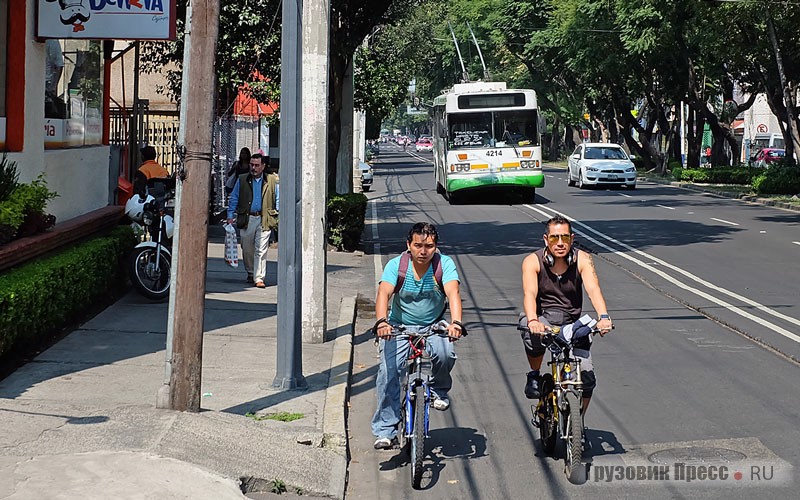 По выделенным полосам ездят как троллейбусы с автобусами, так и редкие велосипедисты