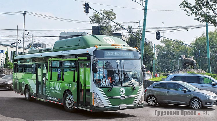 Самые необычные модели можно встретить на отдаленных маршрутах «песерос». Например, в юго-восточной части Мехико за 5 песо можно прокатиться на газовом Hyundai Super Aerocity Low Entry RTP Ecobus 2, которые также известны под имененем Bluecity CNG
