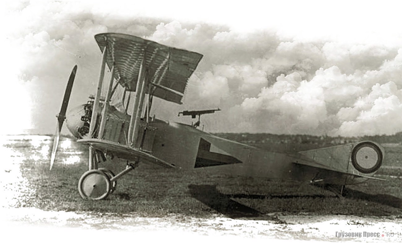 Первые отечественные самолеты. Лебедь 12 самолет. Самолет-разведчик лебедь-XII. Самолет разведчик лебедь 12.